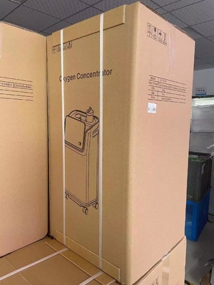 Máy tạo oxy Máy phun sương cầm tay thông minh đầy đủ 10 Lít