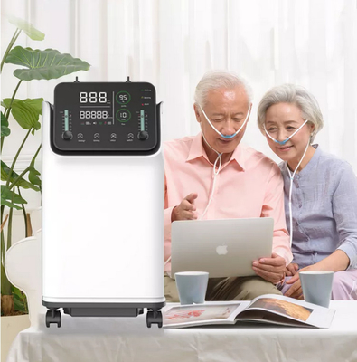Máy cô đặc oxy O2 di động dòng kép 10 L