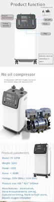 Máy cô đặc oxy O2 di động dòng kép 10 L