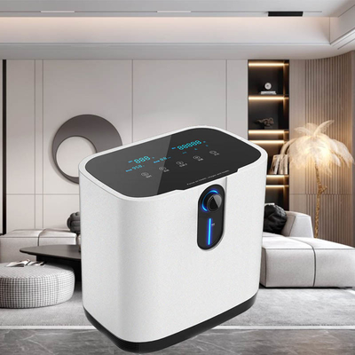 Máy tạo oxy di động 1 lít Oxi Máy tạo oxy cho bệnh viện